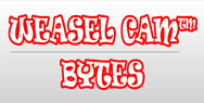 WeaselCam Bytes